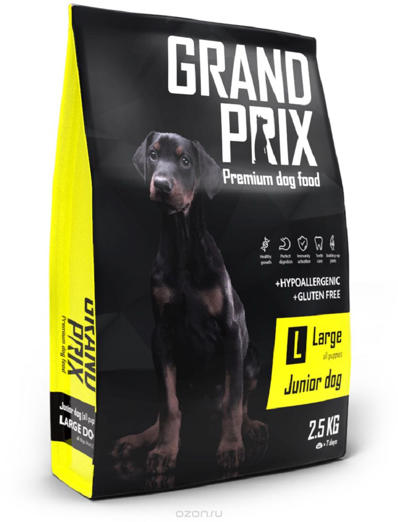   Grand Prix Large Junior,     , 2,5 